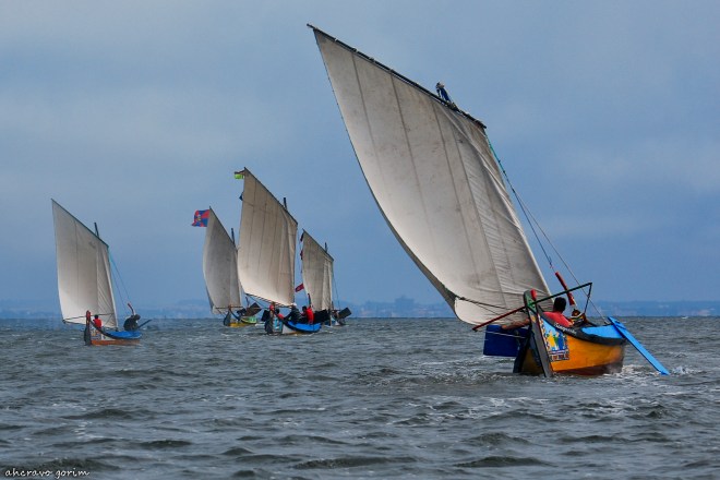 0 ahcravo_DSC_2026 a