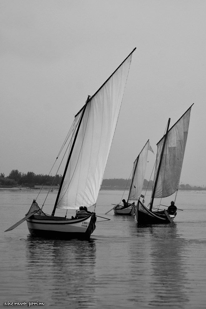 0 ahcravo_DSC_4013 bw