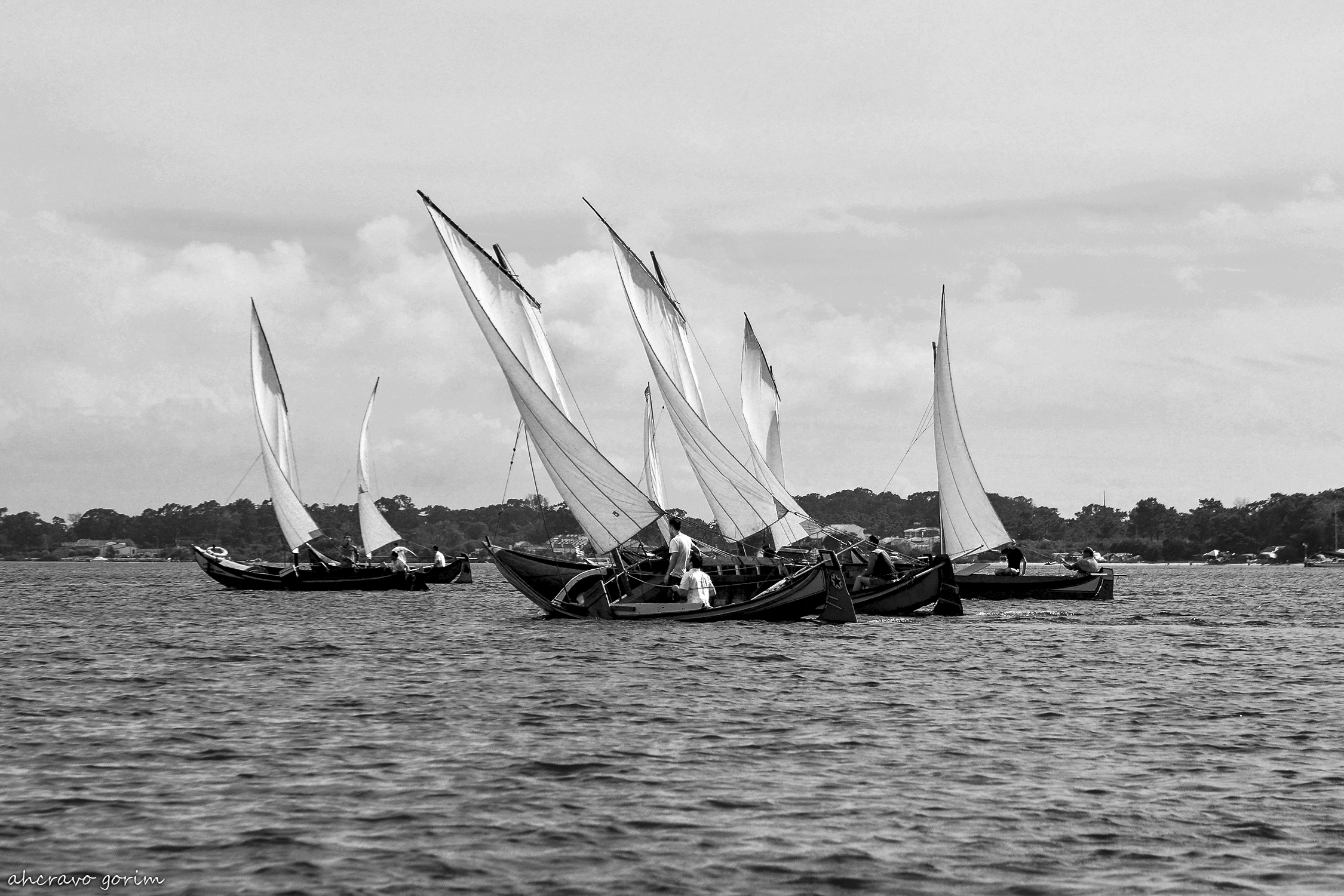 0 ahcravo_DSC_5570 bw