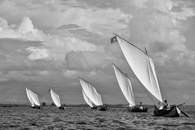 0 ahcravo_DSC_5628 bw