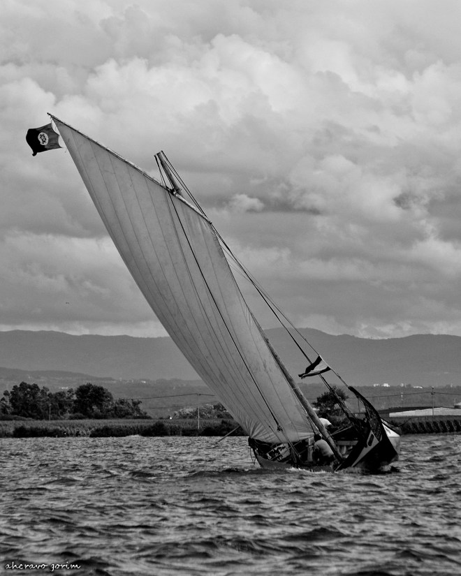 0 ahcravo_DSC_6255 bw