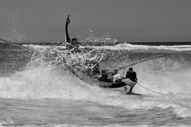 0 ahcravo_DSC_9076_marco 14 bw