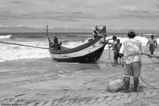 0 ahcravo_ DSC_6663 marco 09 bw