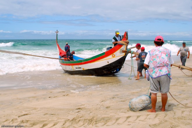 0 ahcravo_ DSC_6663 marco 09