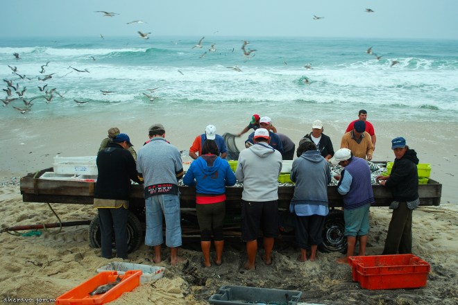 0 ahcravo_ DSC_9007 c