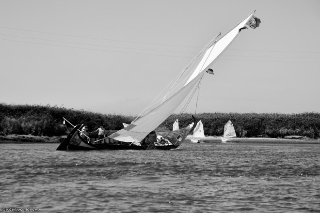 0 ahcravo_DSC_0130_marco silva bw