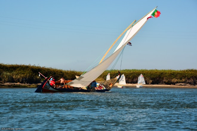 0 ahcravo_DSC_0130_marco silva