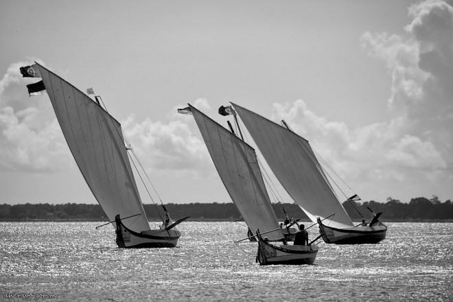 0 ahcravo_DSC_1442 bw