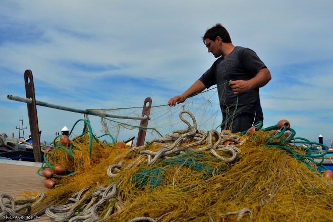 0 ahcravo_DSC_1901 nelson acabou