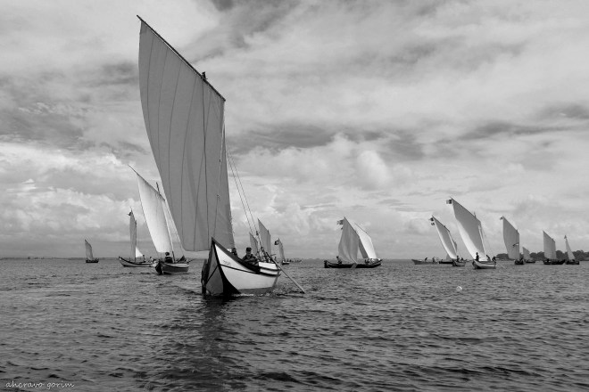 0 ahcravo_DSC_5484 bw