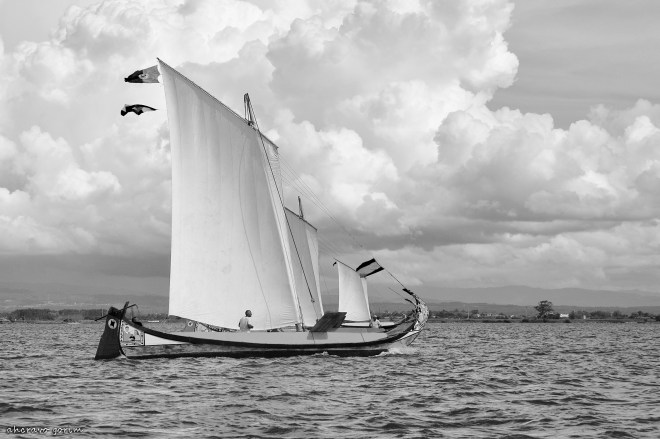 0 ahcravo_DSC_5985 bw