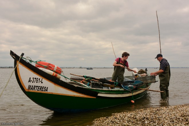0 ahcravo_DSC_8384_nuno+nuno cunha