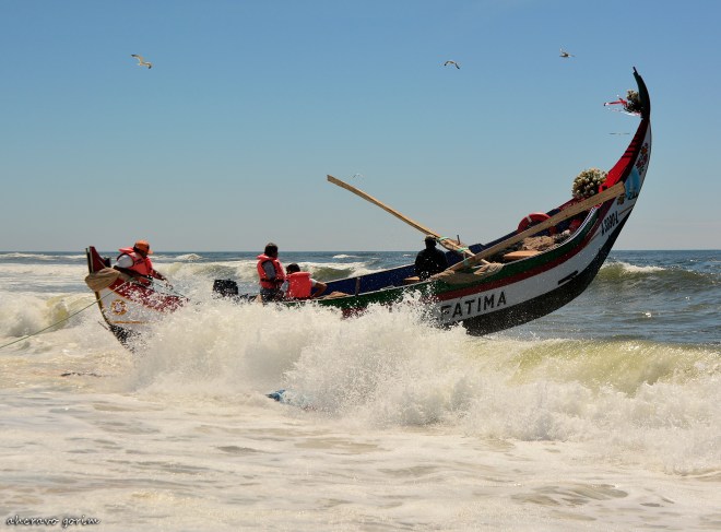 0 ahcravo_DSC_9533 s