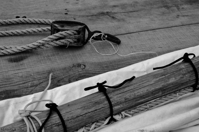 0 ahcravo_ DSC_6748 moliceiro abílio carapelho bw