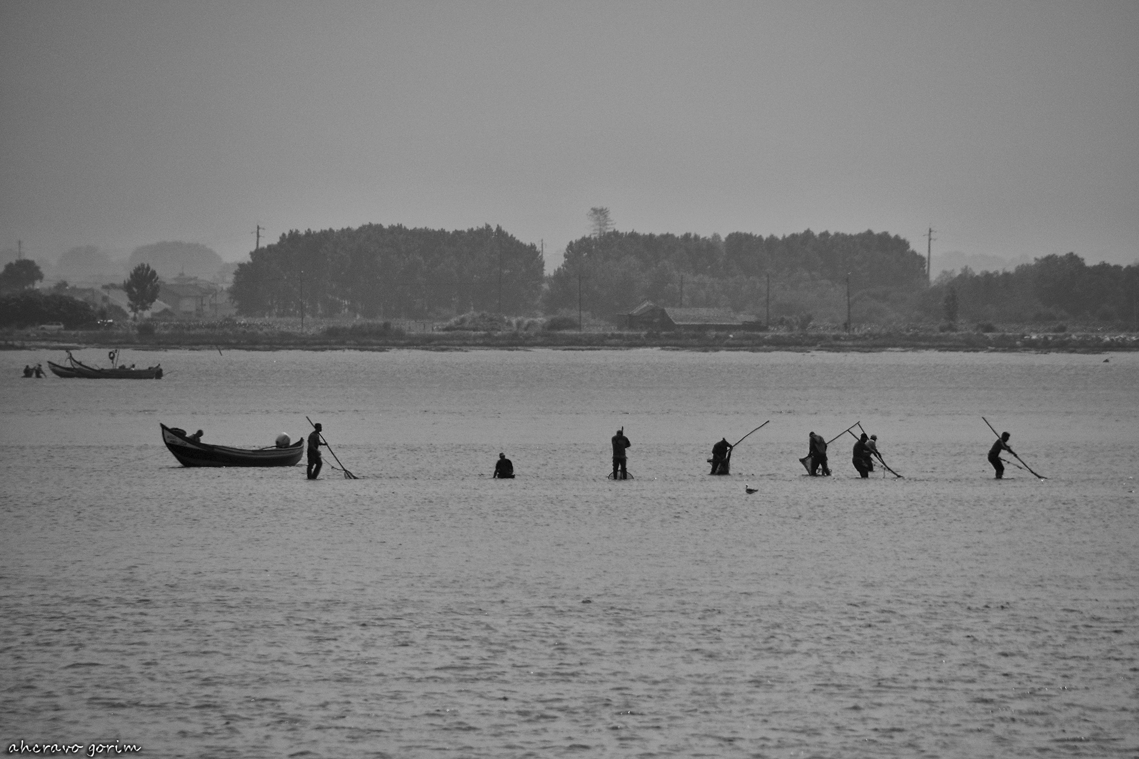 0 ahcravo_DSC_2243 bw