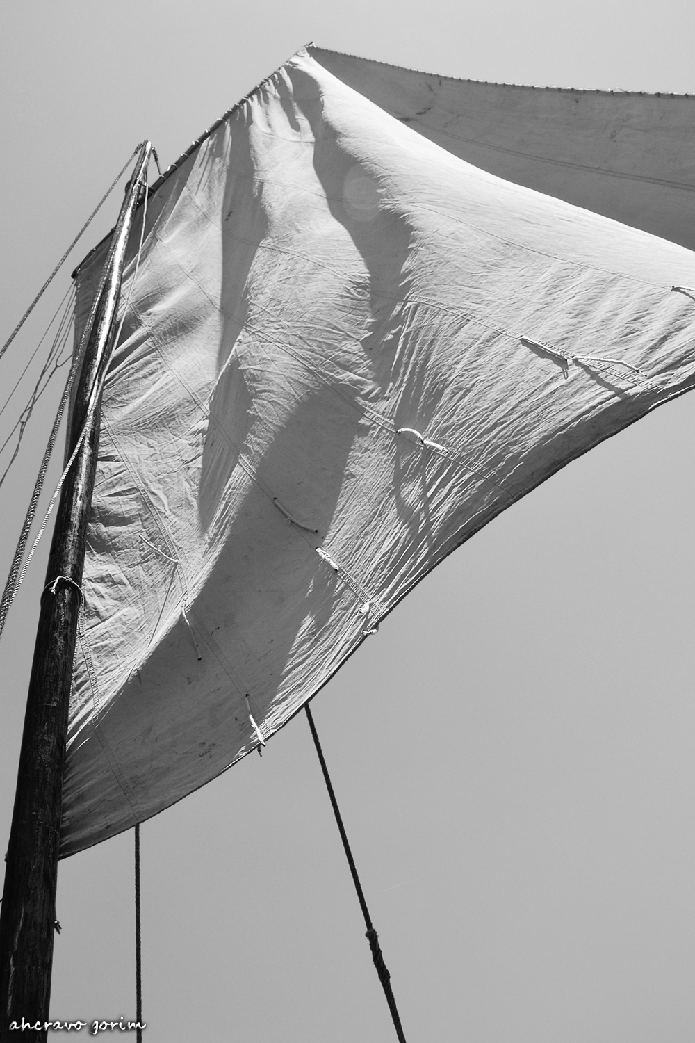 0 ahcravo_DSC_3757 bw