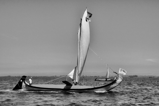 0 ahcravo_DSC_3972 bw