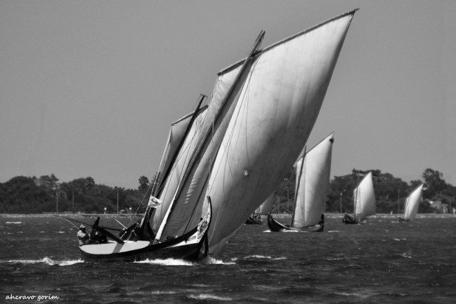 0 ahcravo_DSC_4294 bw