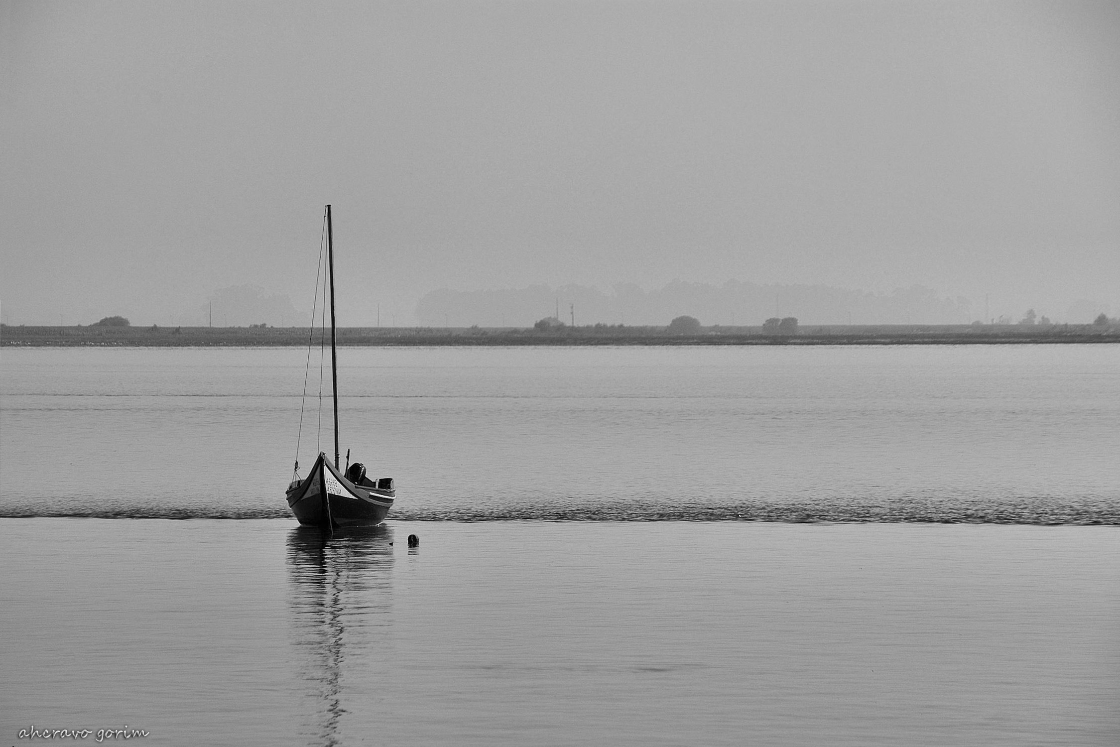 0 ahcravo_DSC_5011_bateria com mastro bw