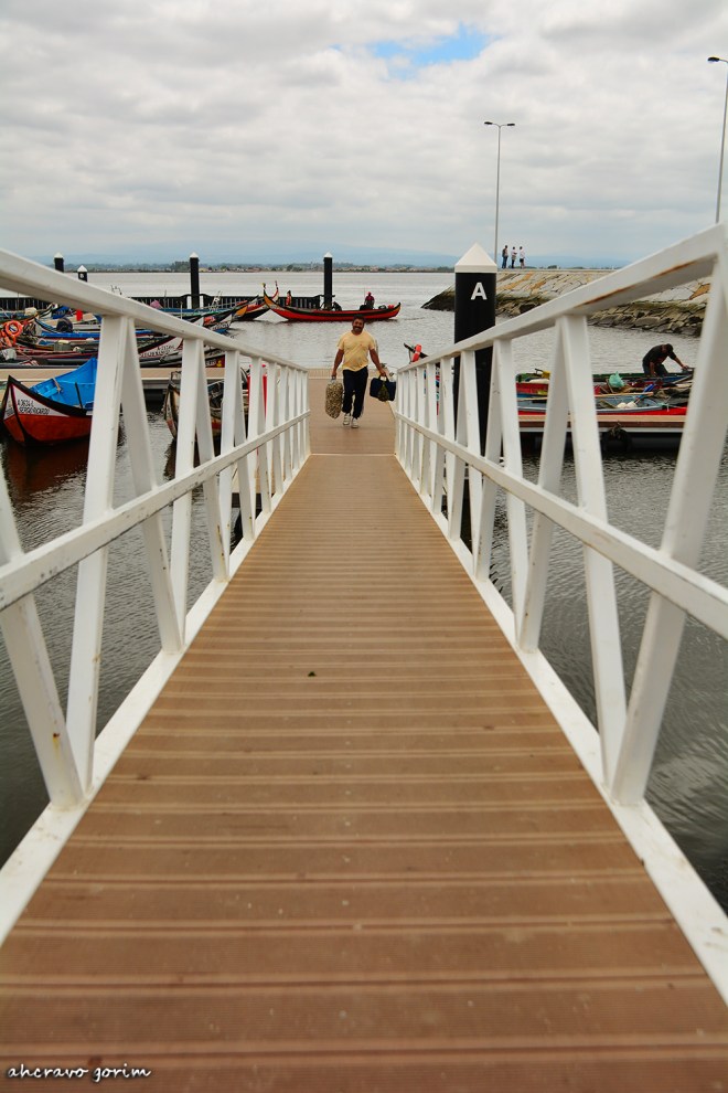 0 ahcravo_DSC_8536 c