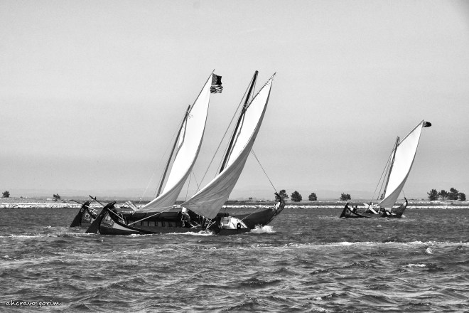 00 ahcravo_DSC_4573 bw