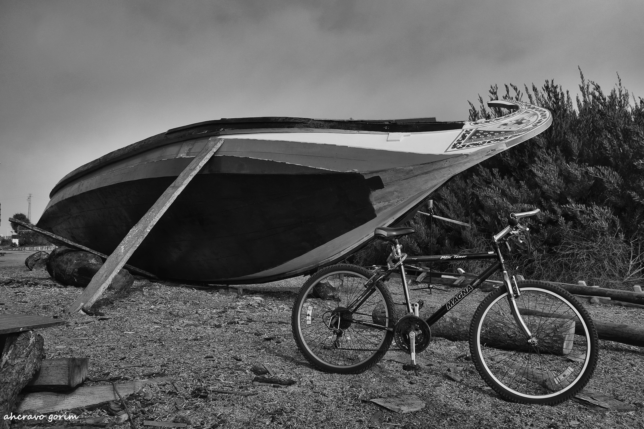 0 ahcravo_DSC_0730 bw