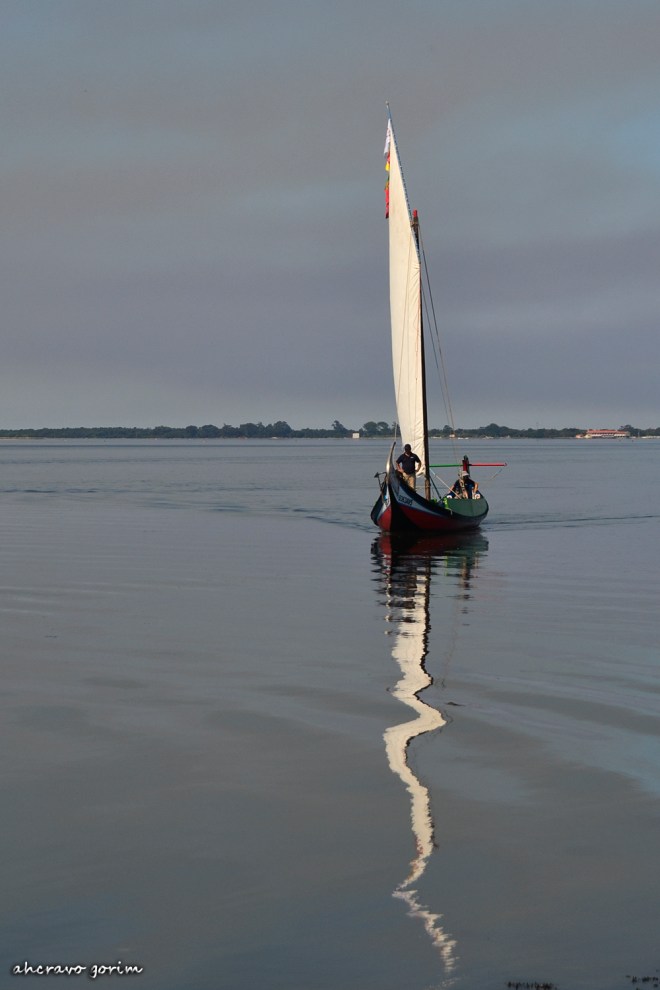 0 ahcravo_DSC_7786_ o amador