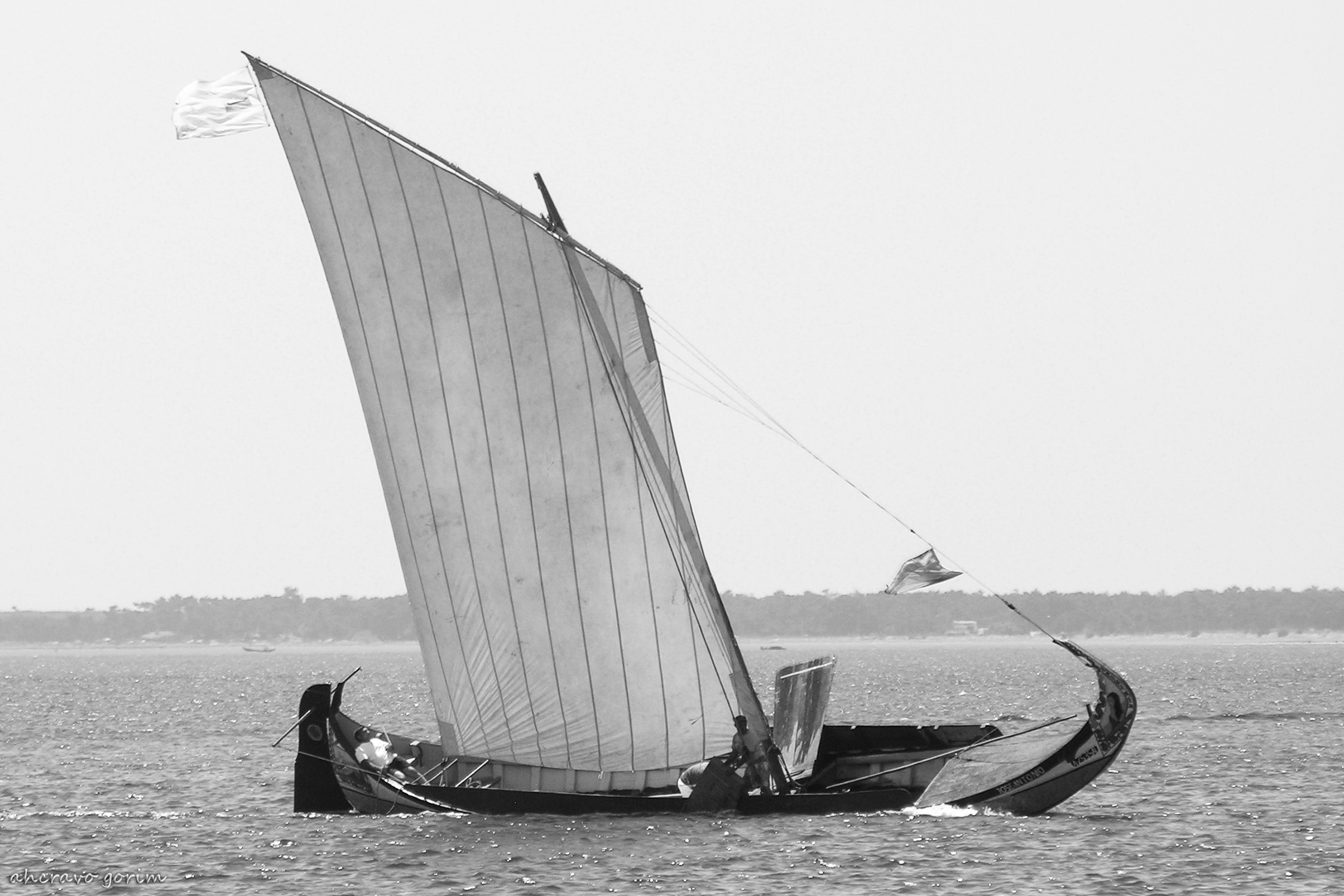 0 ahcravo_DSCN9252 regata moliceiros bico_2006 bw