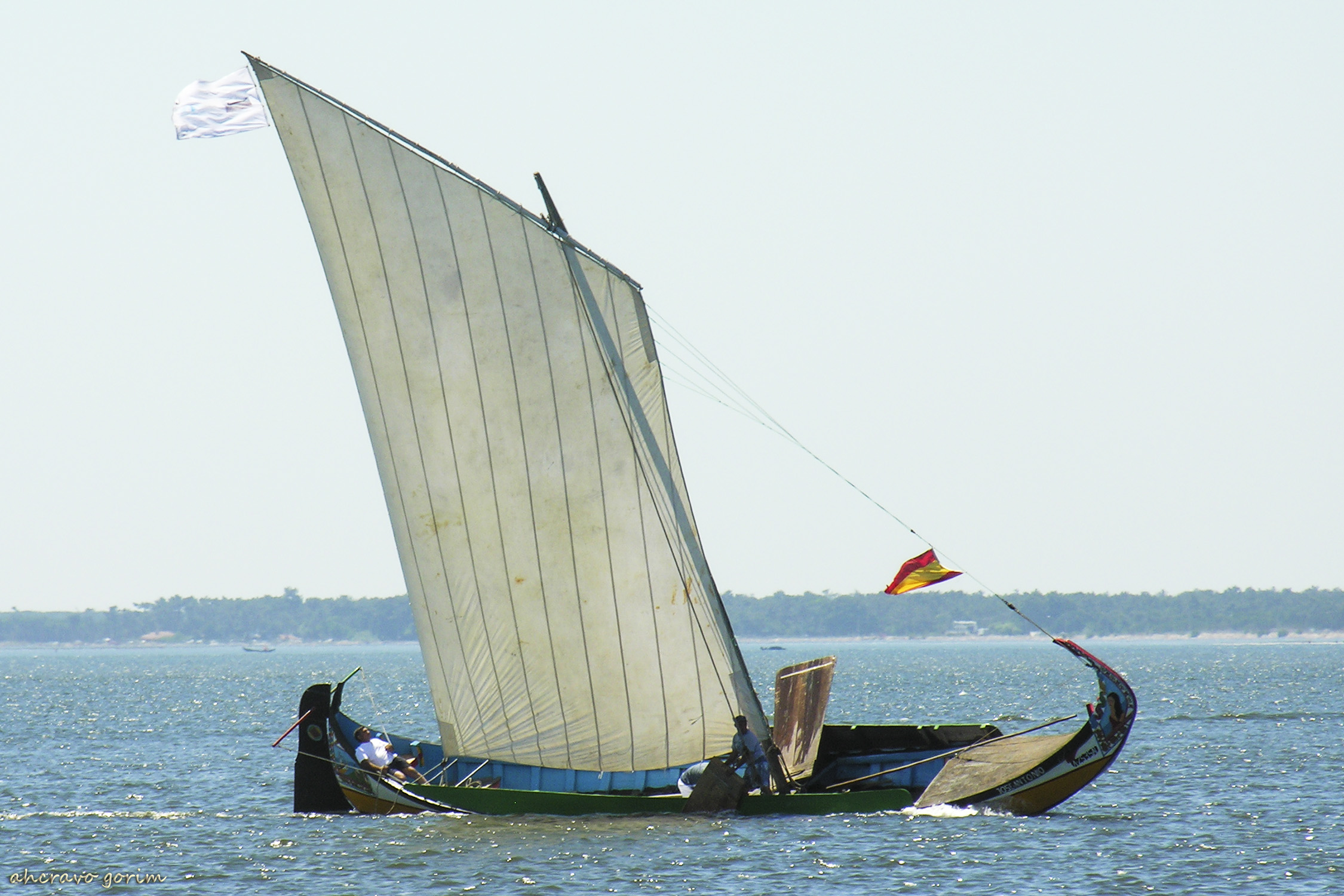 0 ahcravo_DSCN9252 regata moliceiros bico_2006