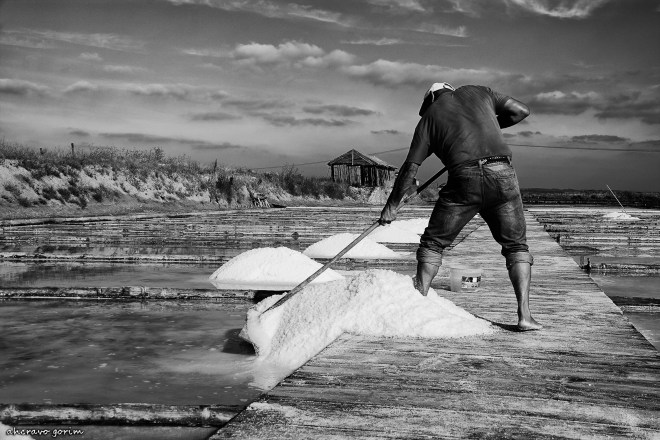 0-ahcravo_dsc_7301-s-bw