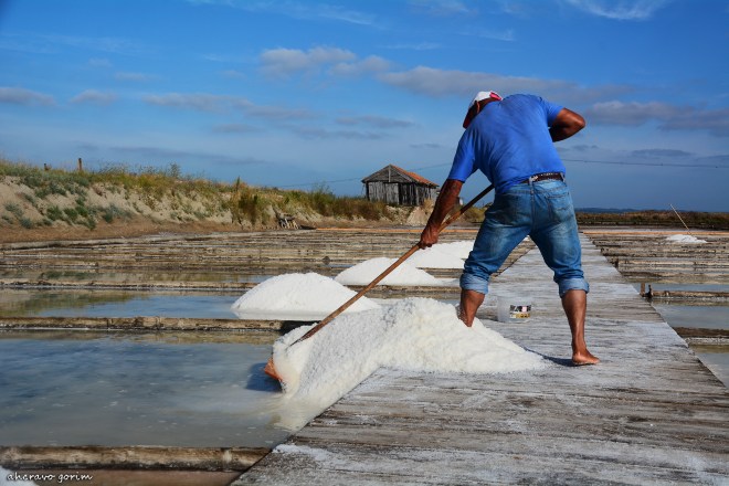 0-ahcravo_dsc_7301-s