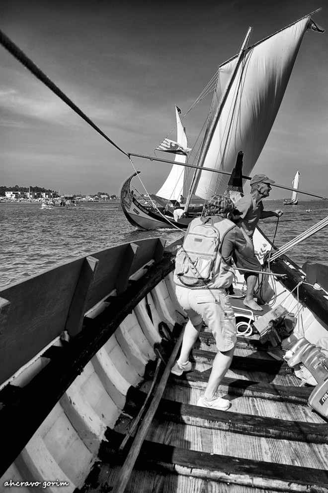 0-ahcravo_dsc_6934-bw