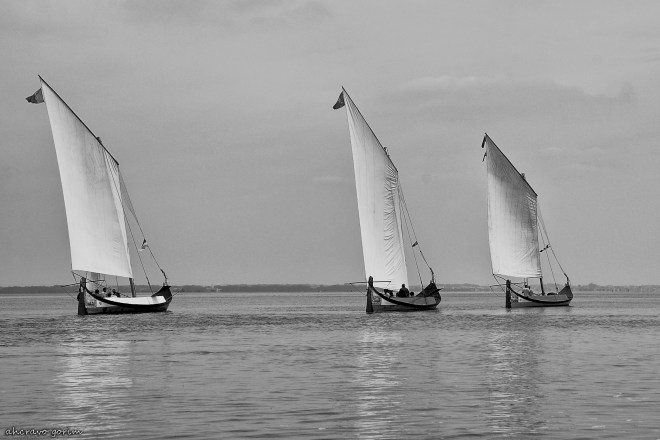 0-ahcravo_dsc_6169-bw