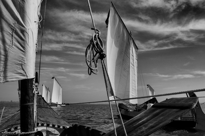 0-ahcravo_dsc_6964-bw