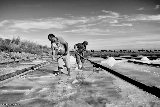 0-ahcravo_dsc_7633-bw