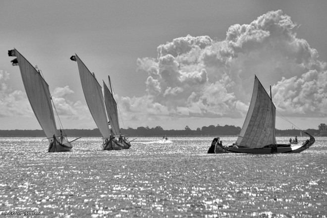 0-ahcravo_dsc_1437-bw