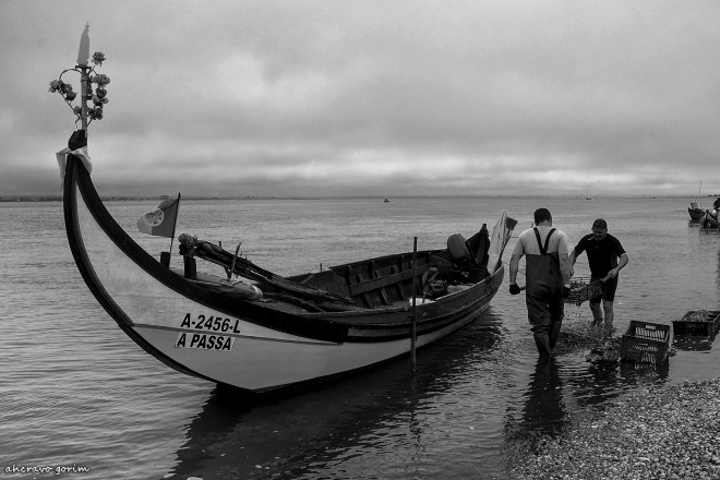 0-ahcravo_dsc_7595-bw