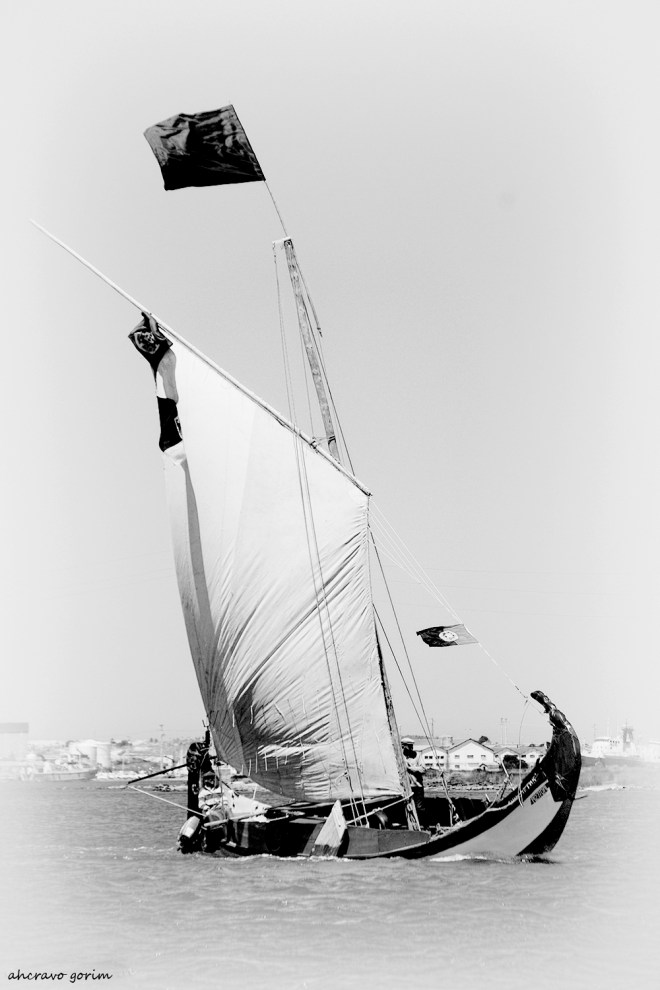 0-ahcravo_dsc_7985-bw