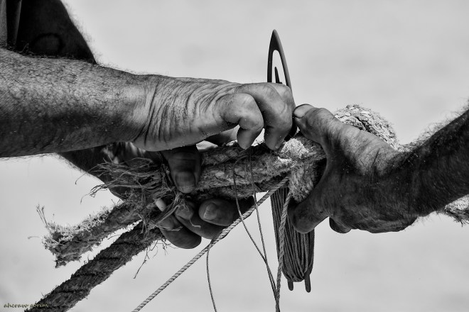 0-ahcravo_dsc_3262-s