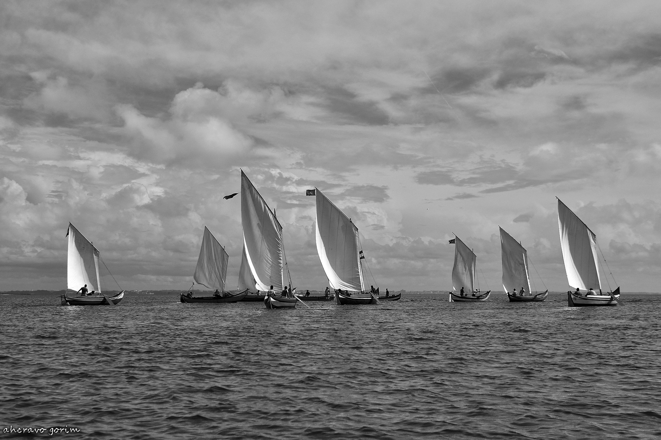 0-ahcravo_dsc_5554-bw