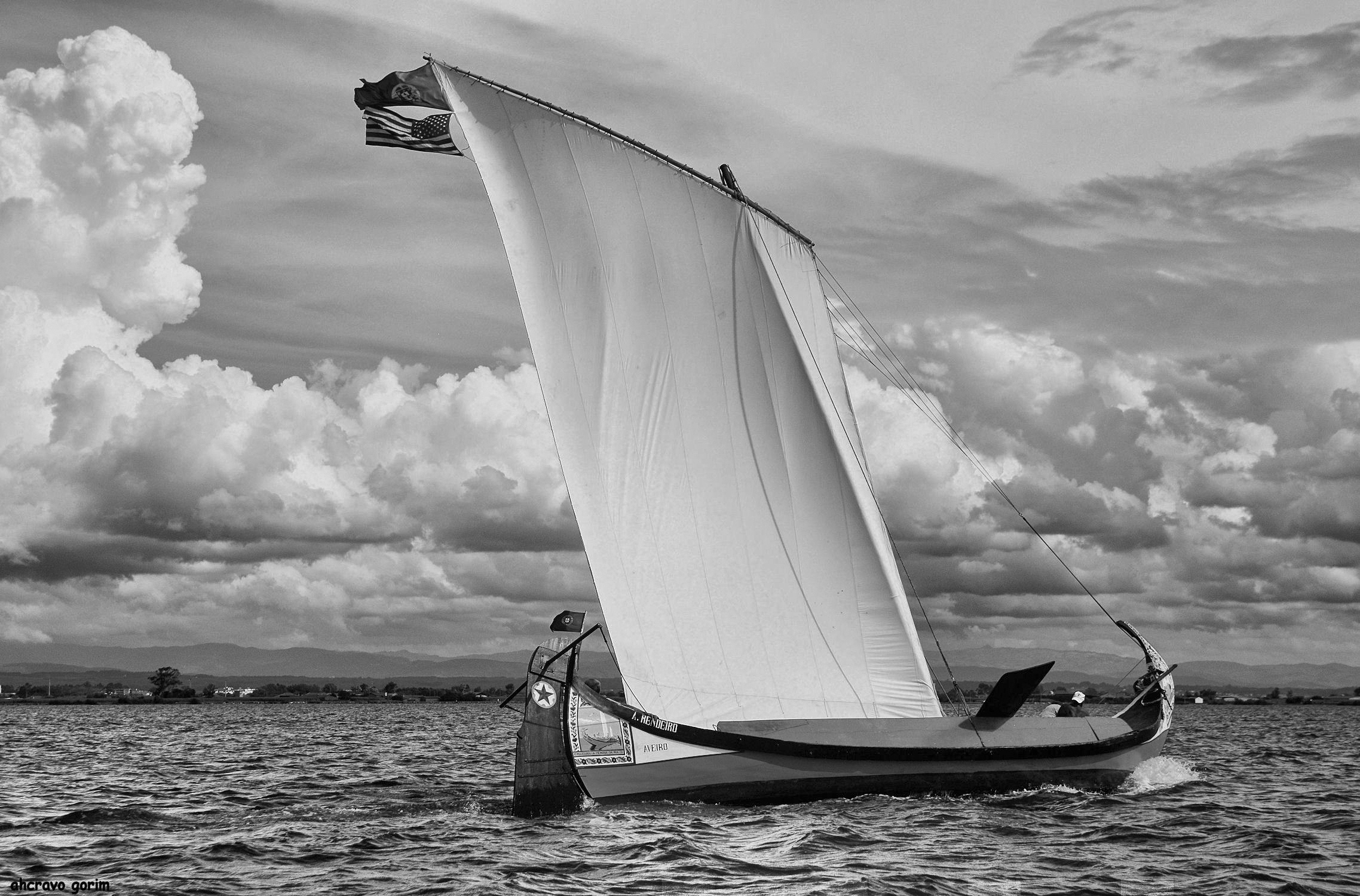 0-ahcravo_dsc_5990-bw