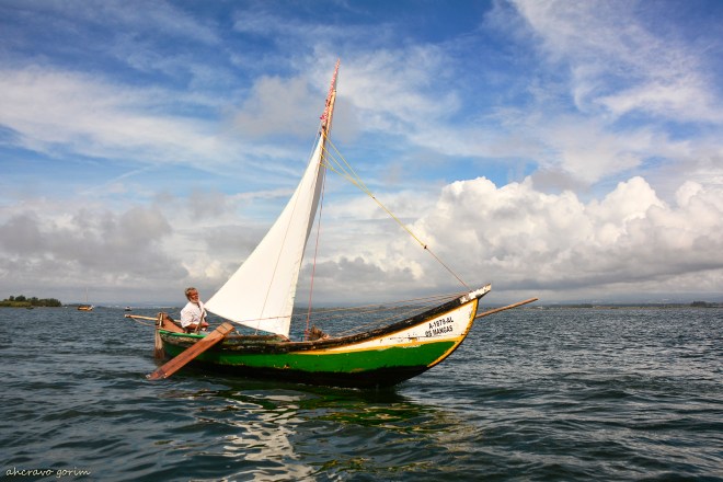 0-ahcravo_dsc_5419_-ze-formigo