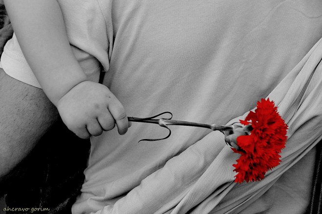 0-ahcravo_dsc_5821-p