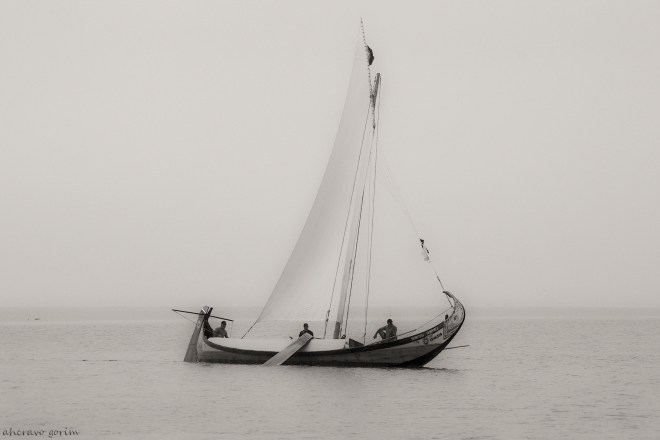 0 ahcravo_DSC_1976 bw