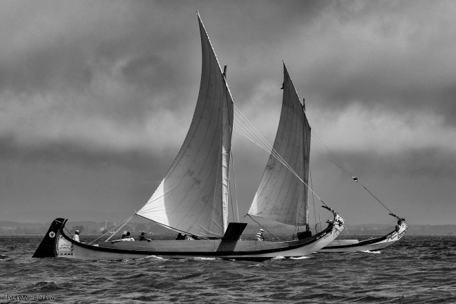 0 ahcravo_DSC_2055bw