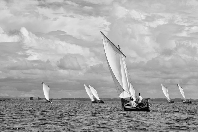 0 ahcravo_DSC_5617 bw