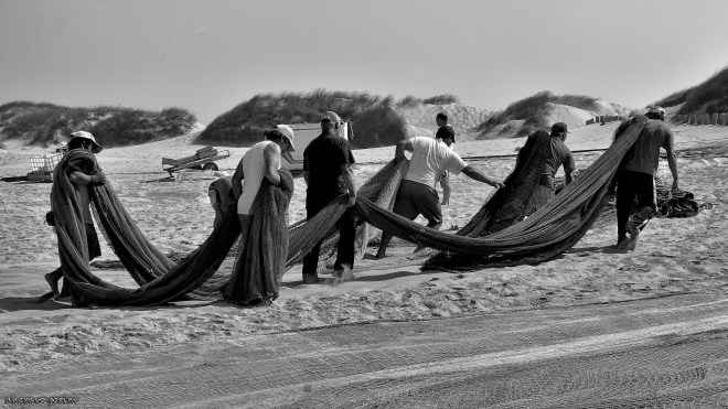 0 ahcravo_DSC_9744 bw