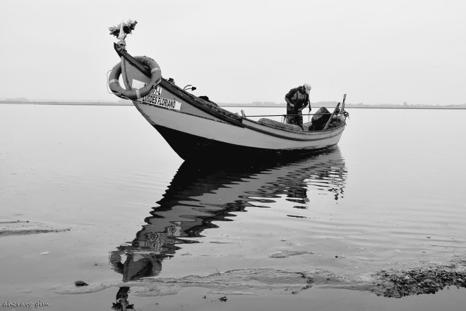 0 ahcravo_ DSC_0457 bw