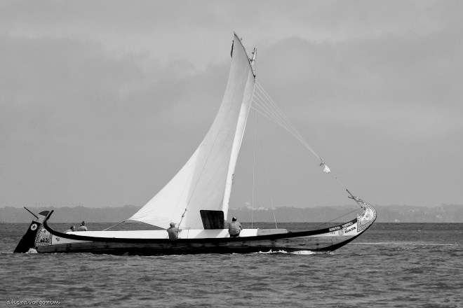 0 ahcravo_DSC_2082 bw