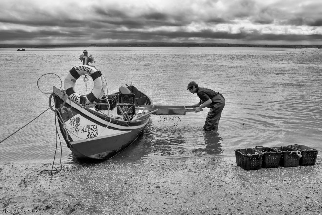 0 ahcravo_ DSC_1341 bw